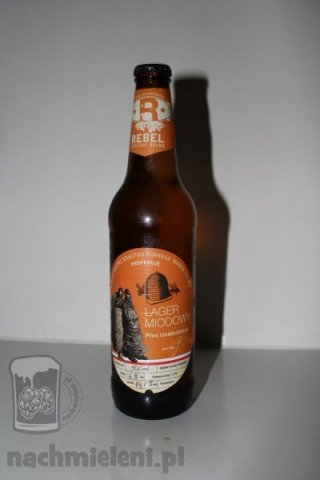 IMG_7843_s-400x600.jpg
