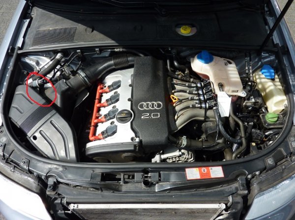 audi.jpg