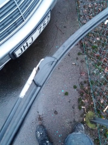 20170220_170625.jpg