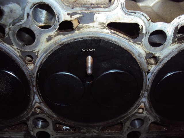 swieca AVF.jpg