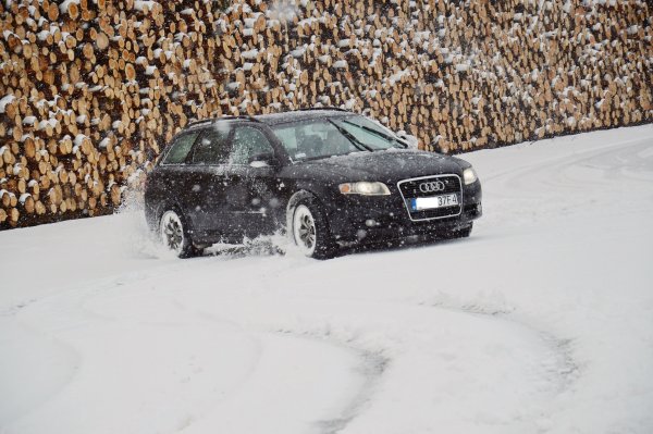 DSC_0061.jpg
