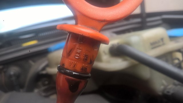 WP_20170228_12_54_29_Pro.jpg