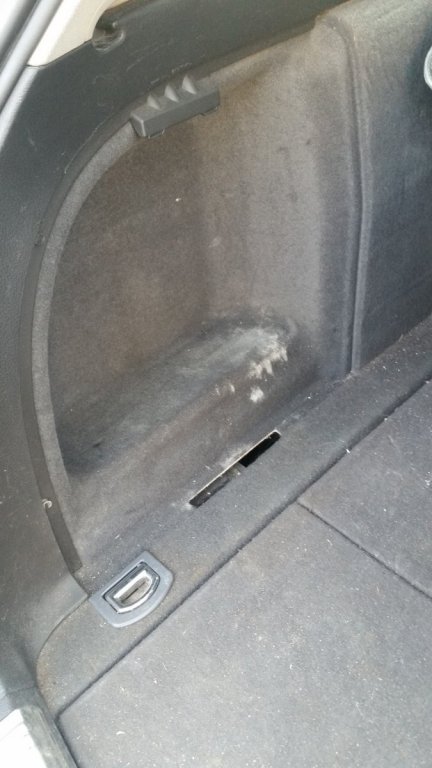 20170401_091547.jpg