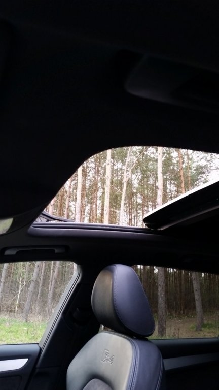20170331_181856.jpg