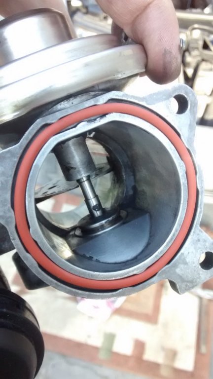 czysty egr.jpg