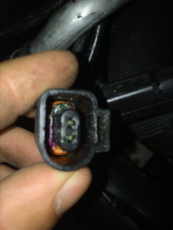 IMG_1067.JPG
