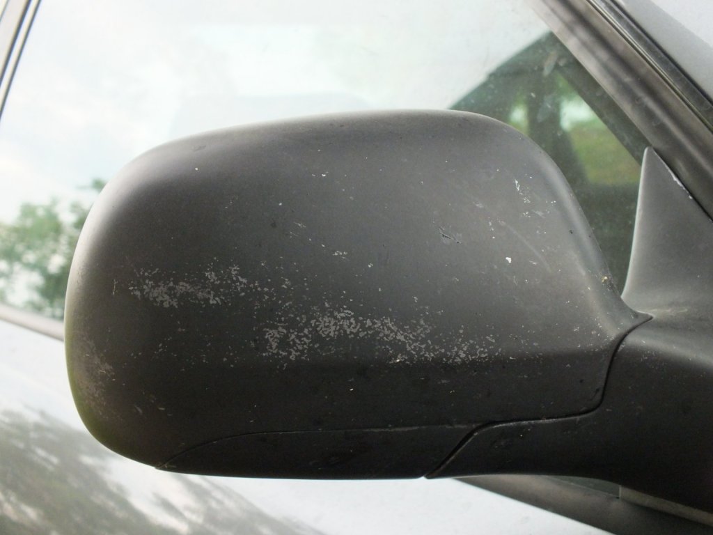 DSCF9135.JPG