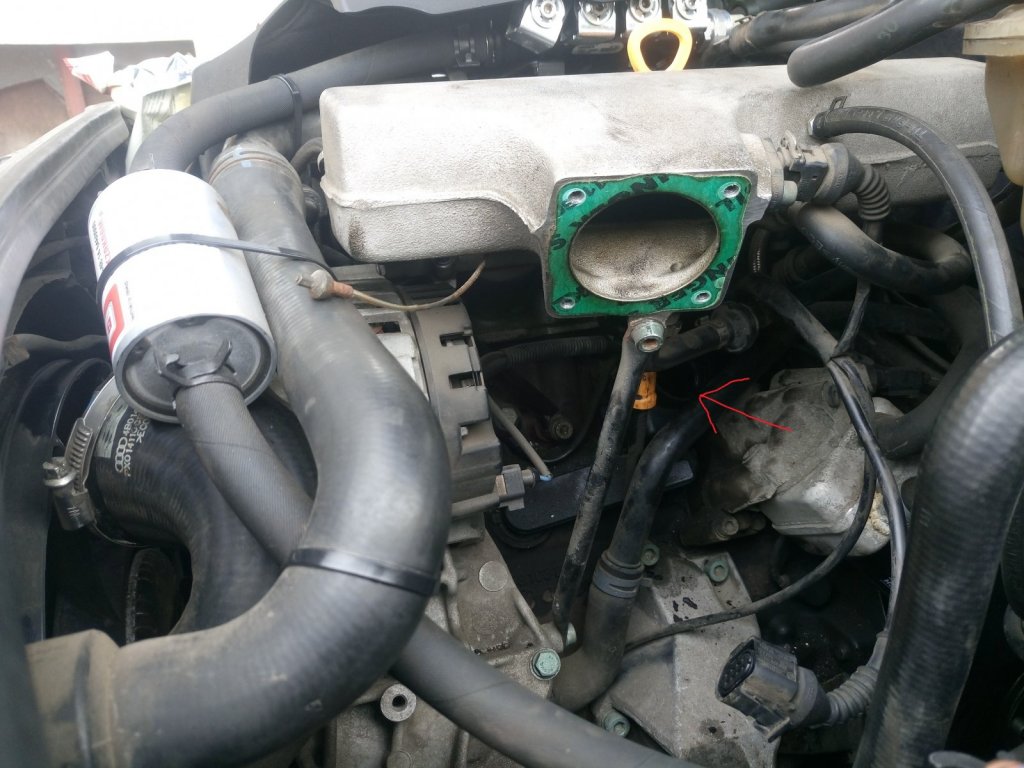 DSC_0549.JPG