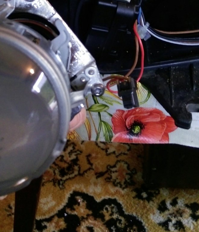 IMAG0008_1.jpg