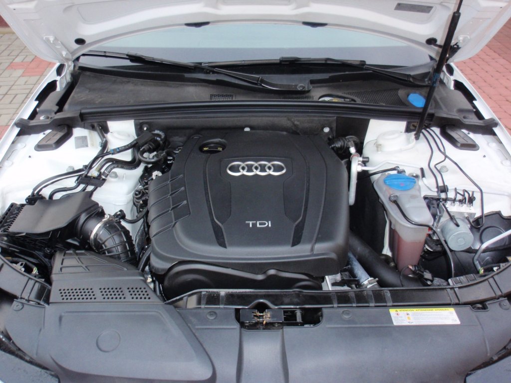 PB160017.JPG