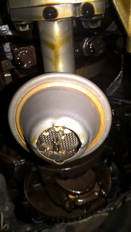 WP_20170811_16_00_51_Pro.jpg