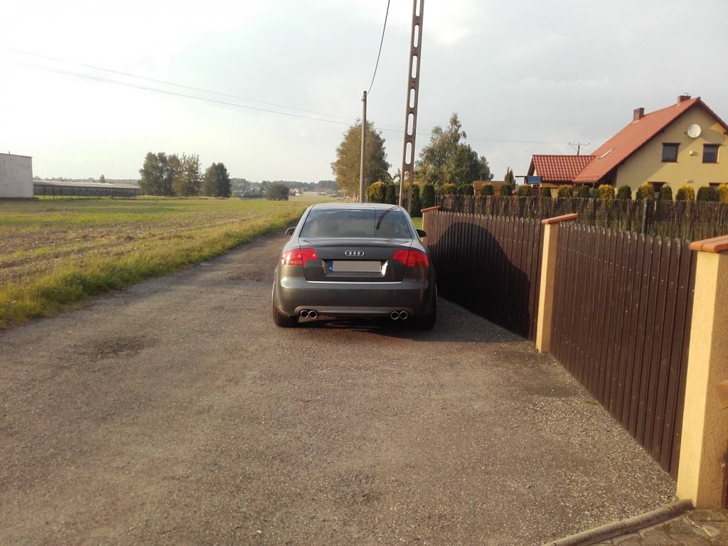 końcówki tyłem.jpg