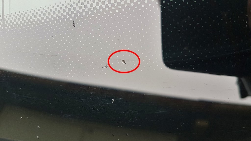 20180213_114621.jpg