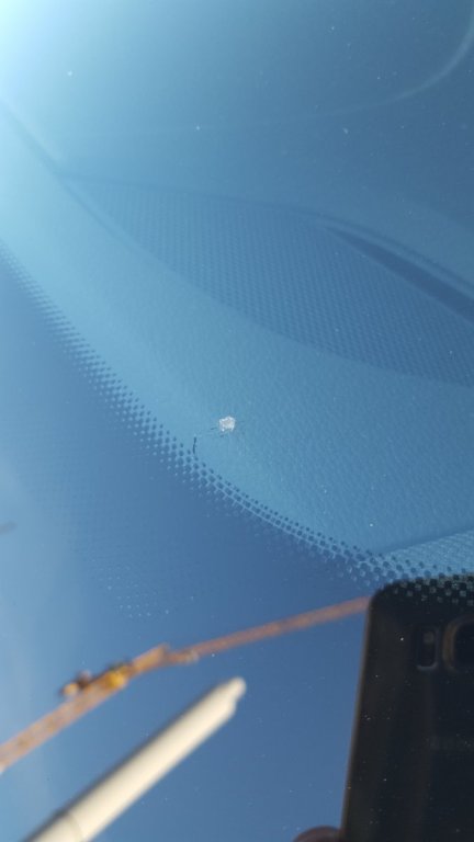 20180320_084331.jpg