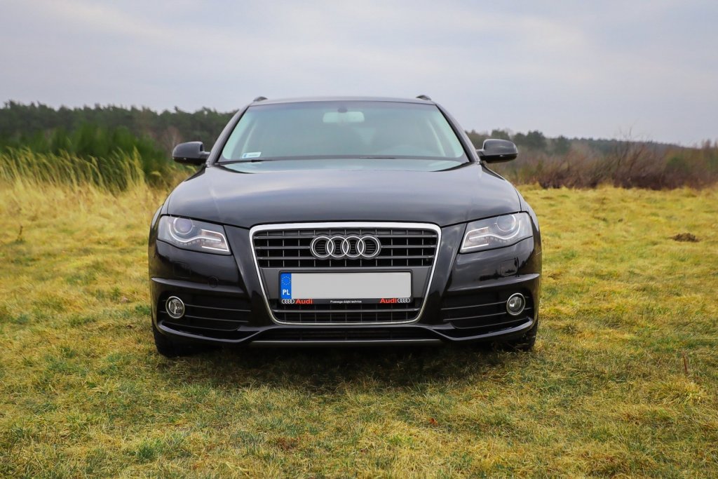 audi (3).jpg