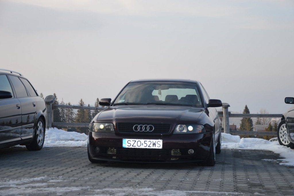 DSC_0305.JPG