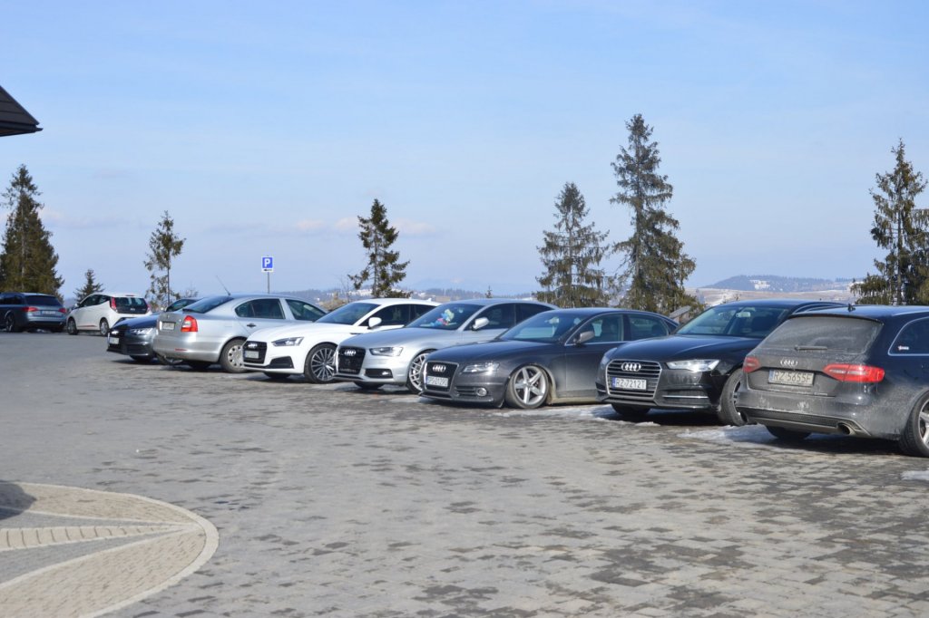 DSC_0330.JPG
