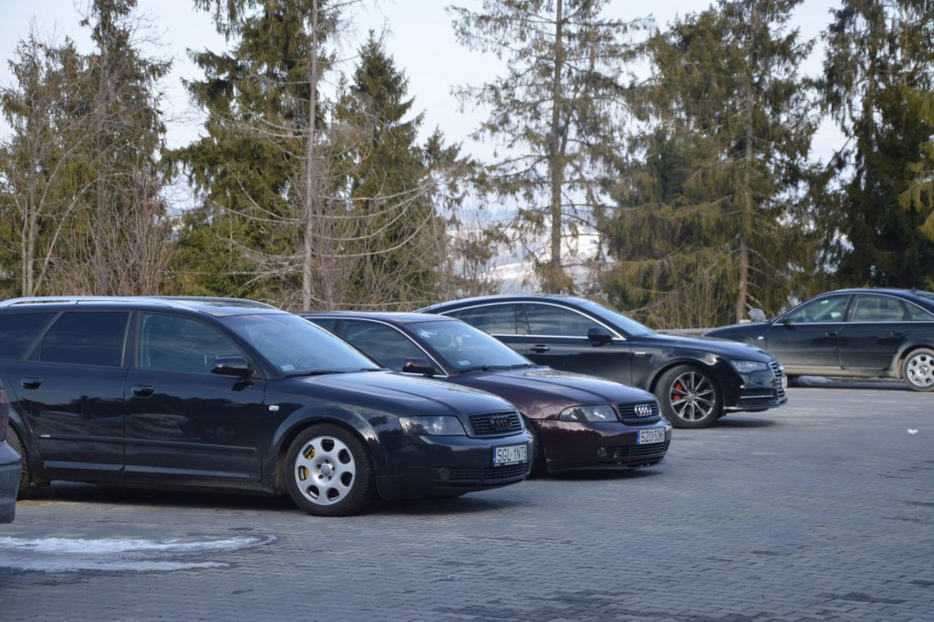 DSC_0371.JPG