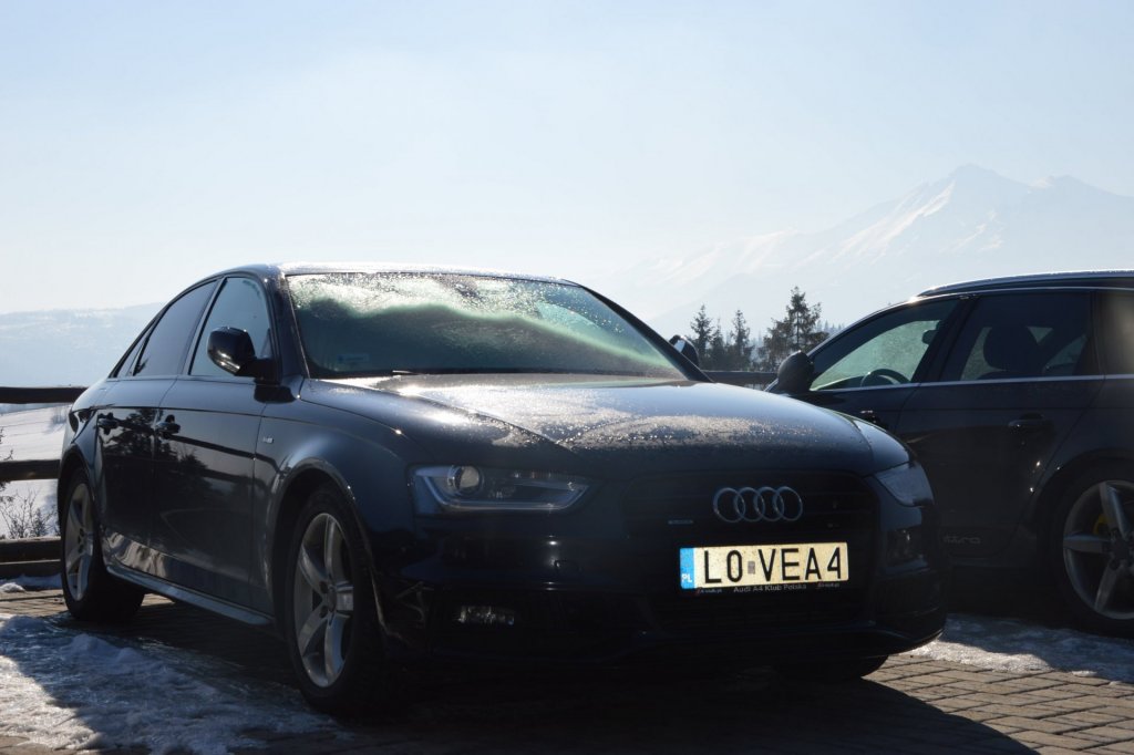 DSC_0389.JPG