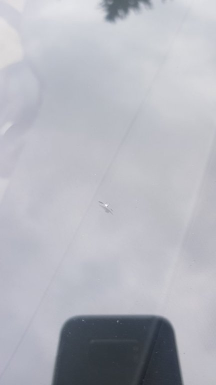 20180401_142617.jpg