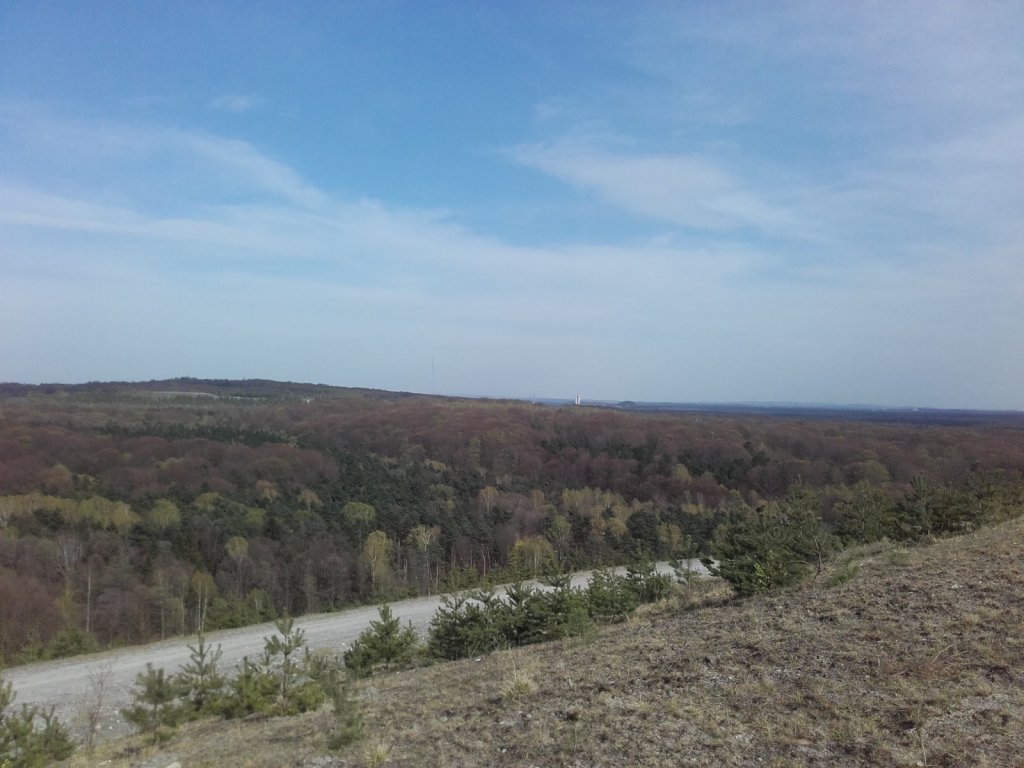 20180415_161029.jpg