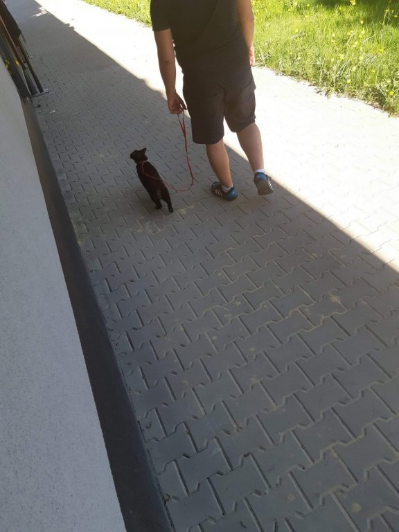 received_1665848926796716.jpeg