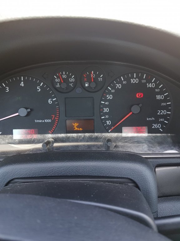 36027990_1562587717201330_8092430250723508224_n.jpg