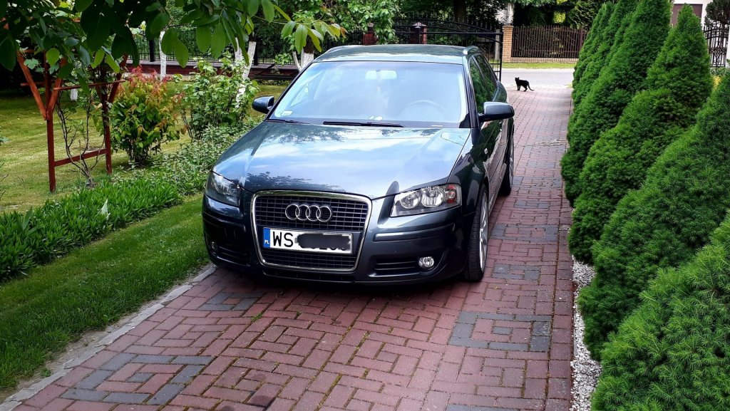 20180706_201025.jpg