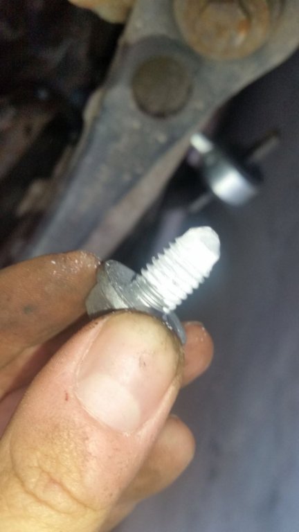 20180725_125325.jpg
