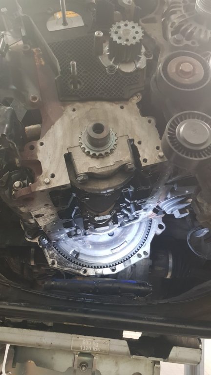 20180729_100423.jpg