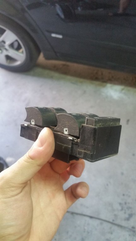 20180731_120429.jpg