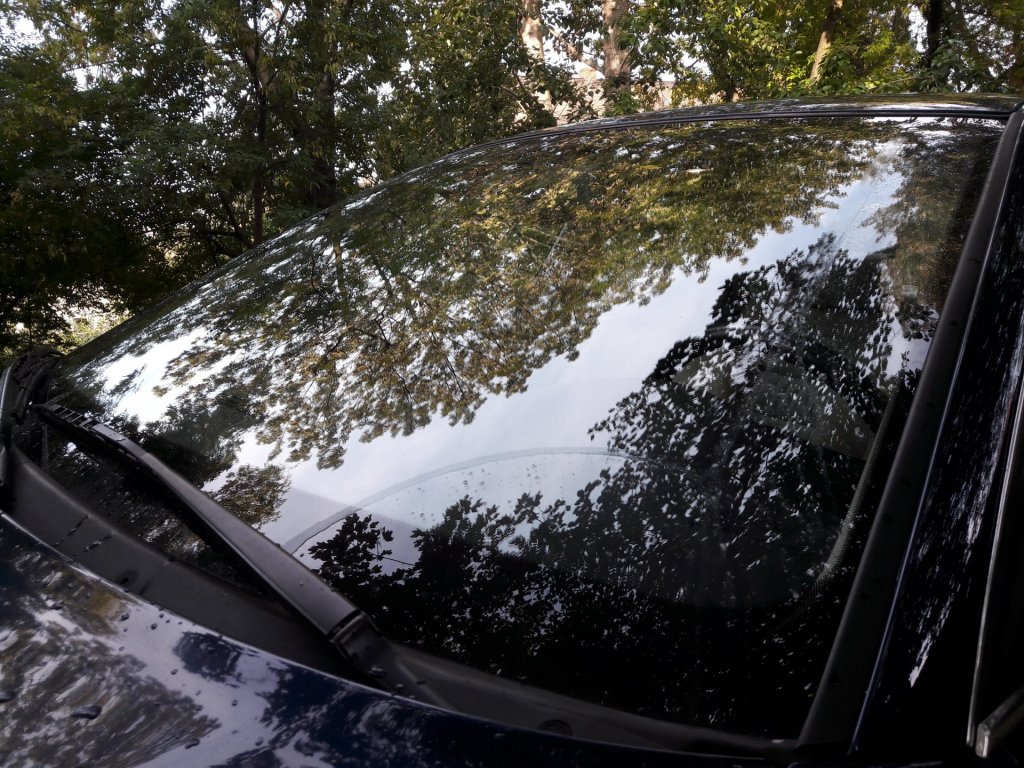 20180831_082513.jpg