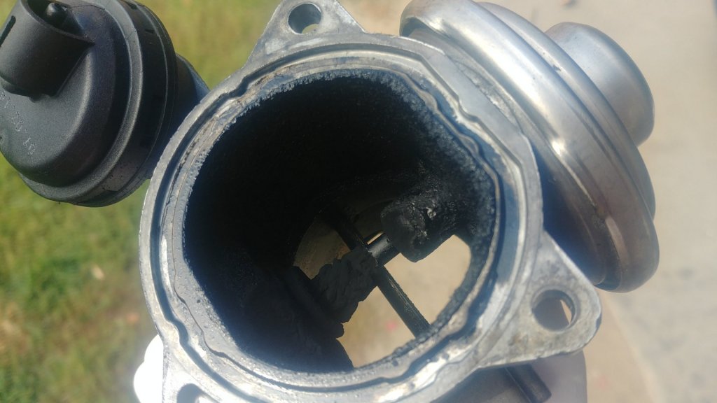 20180922_133728_HDR.jpg