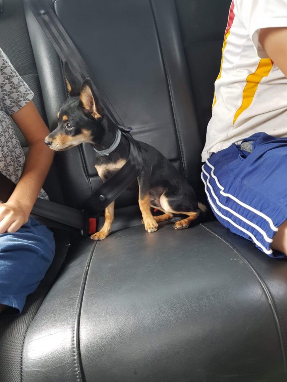 received_229373357736590.jpeg