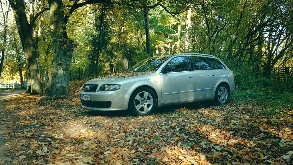 20181013_103814.jpg