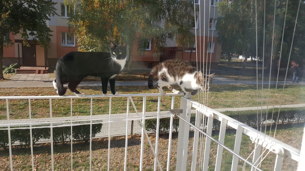 20181017_122453.jpg