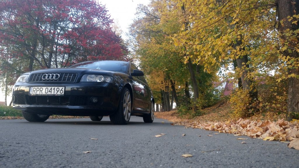DSC_0734.JPG
