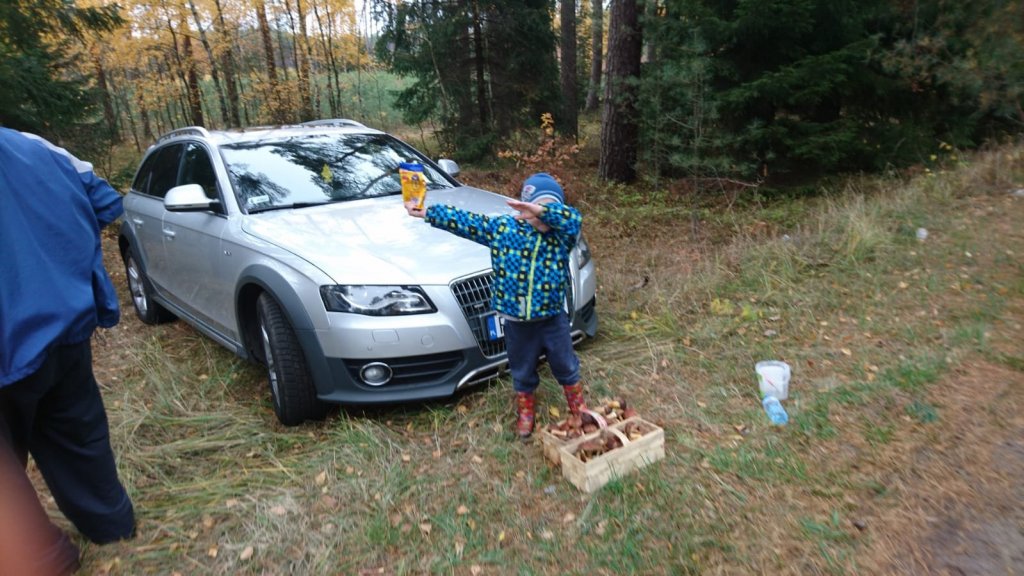 IMG-20181102-WA0007.jpg