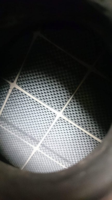 received_525163961283358.jpeg