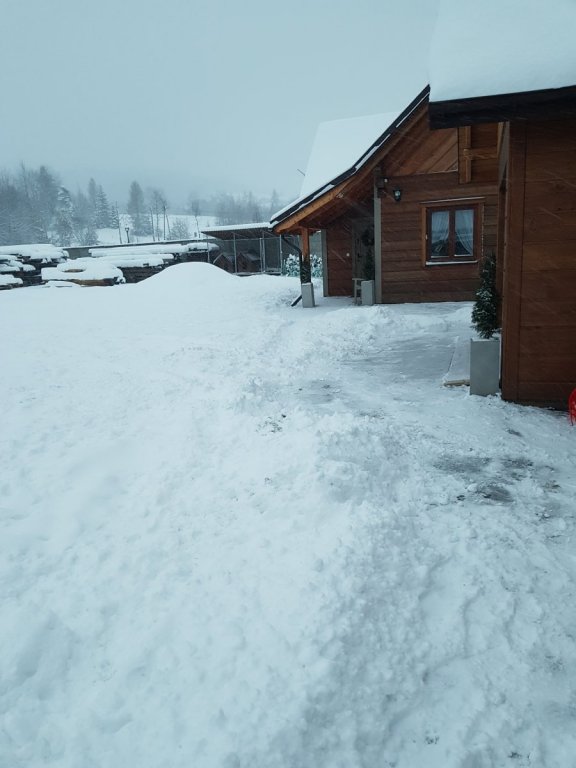 20190105_154517.jpg