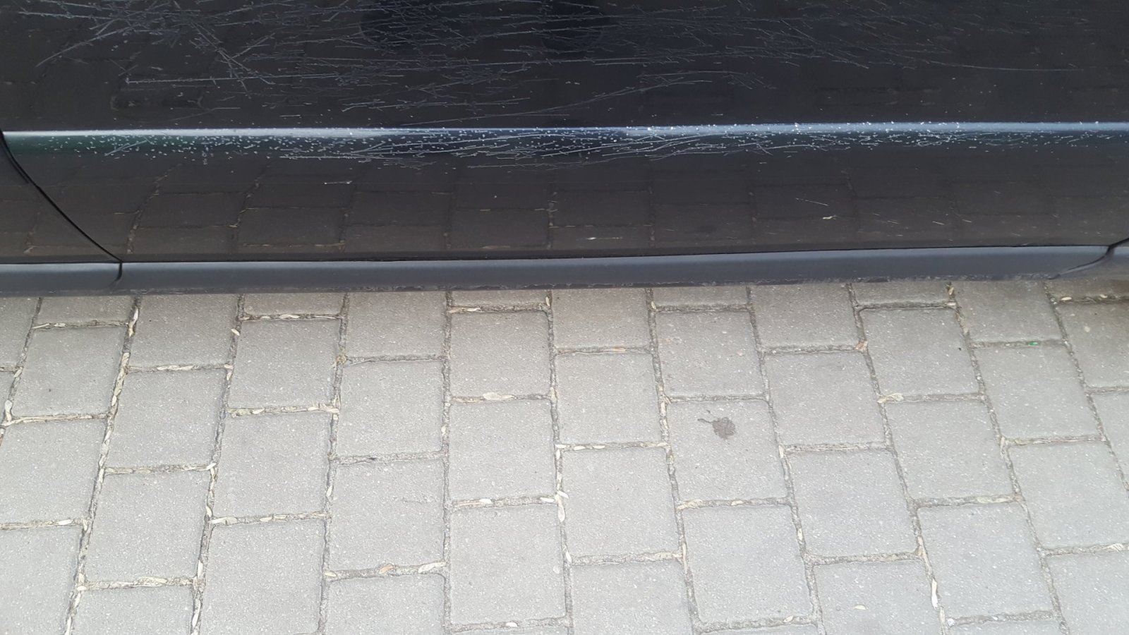 20190124_090635.jpg