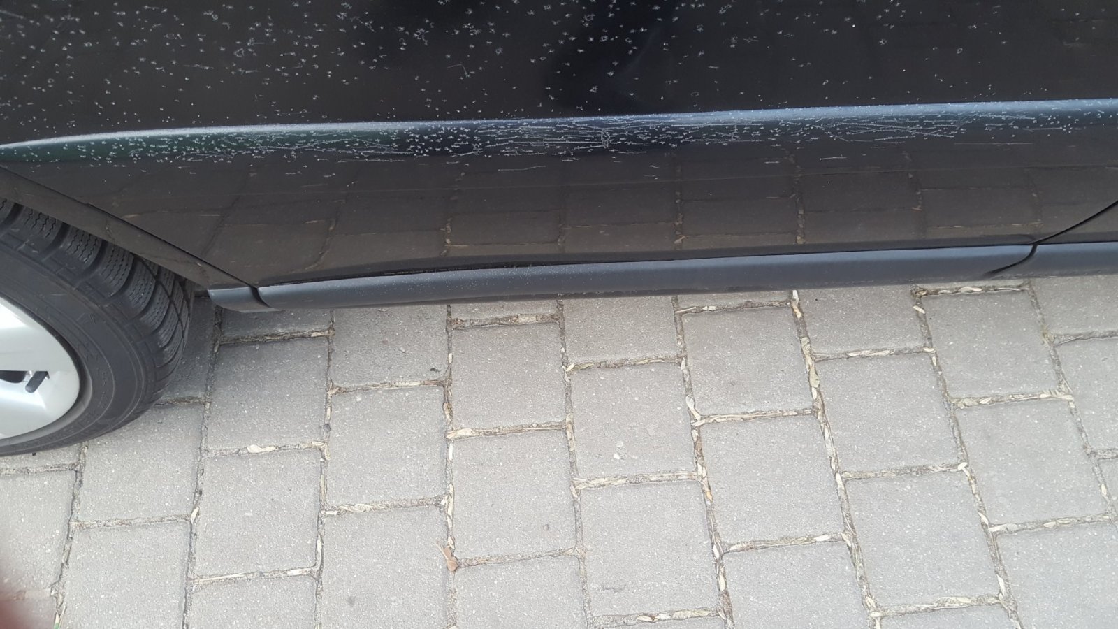 20190124_090640.jpg