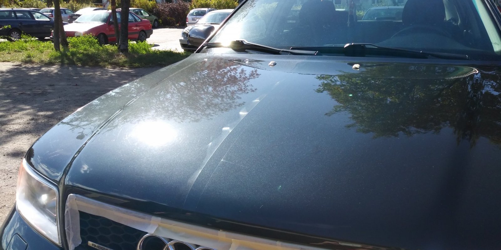 20180916_105215.jpg