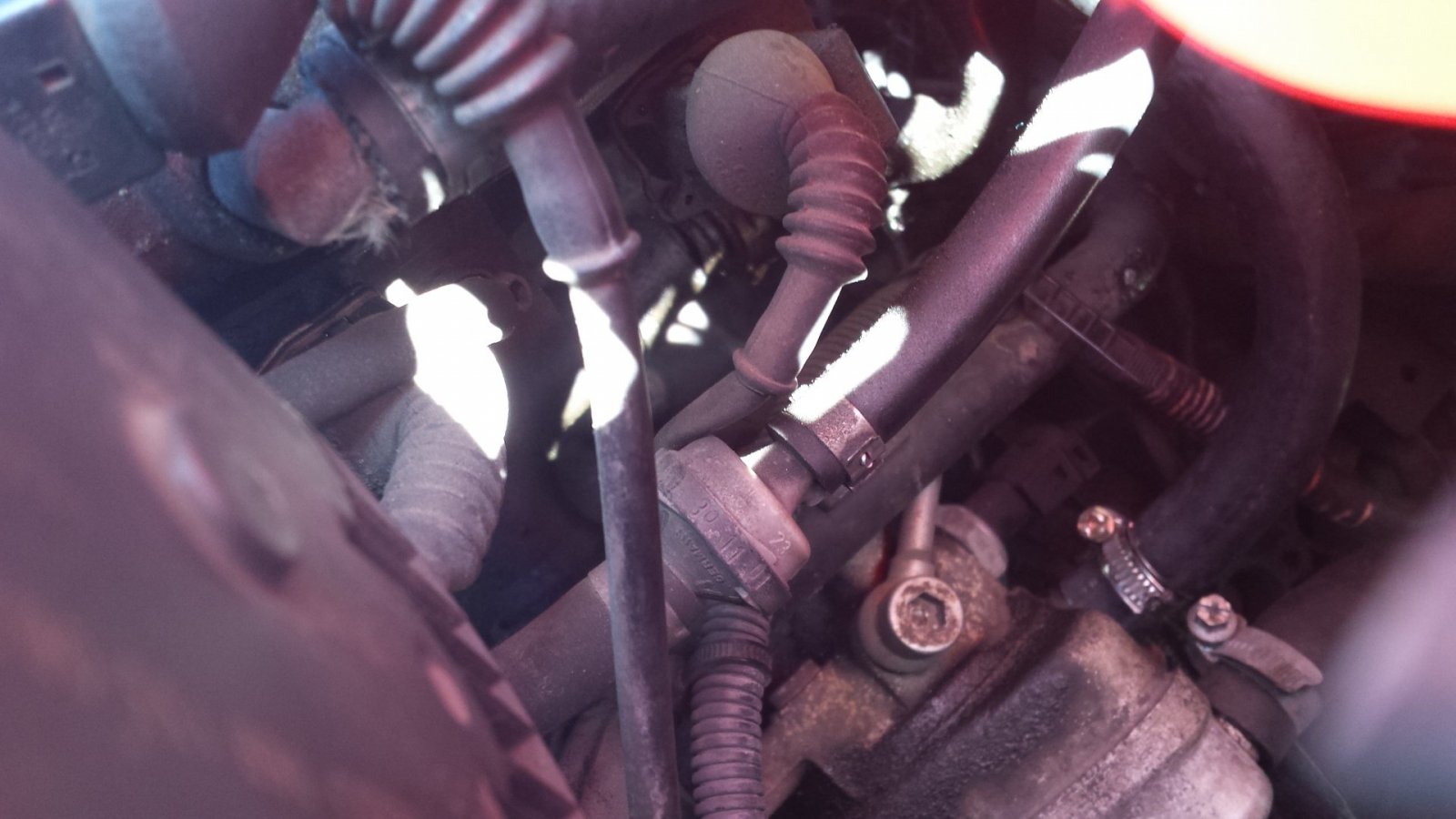 20190327_153659.jpg