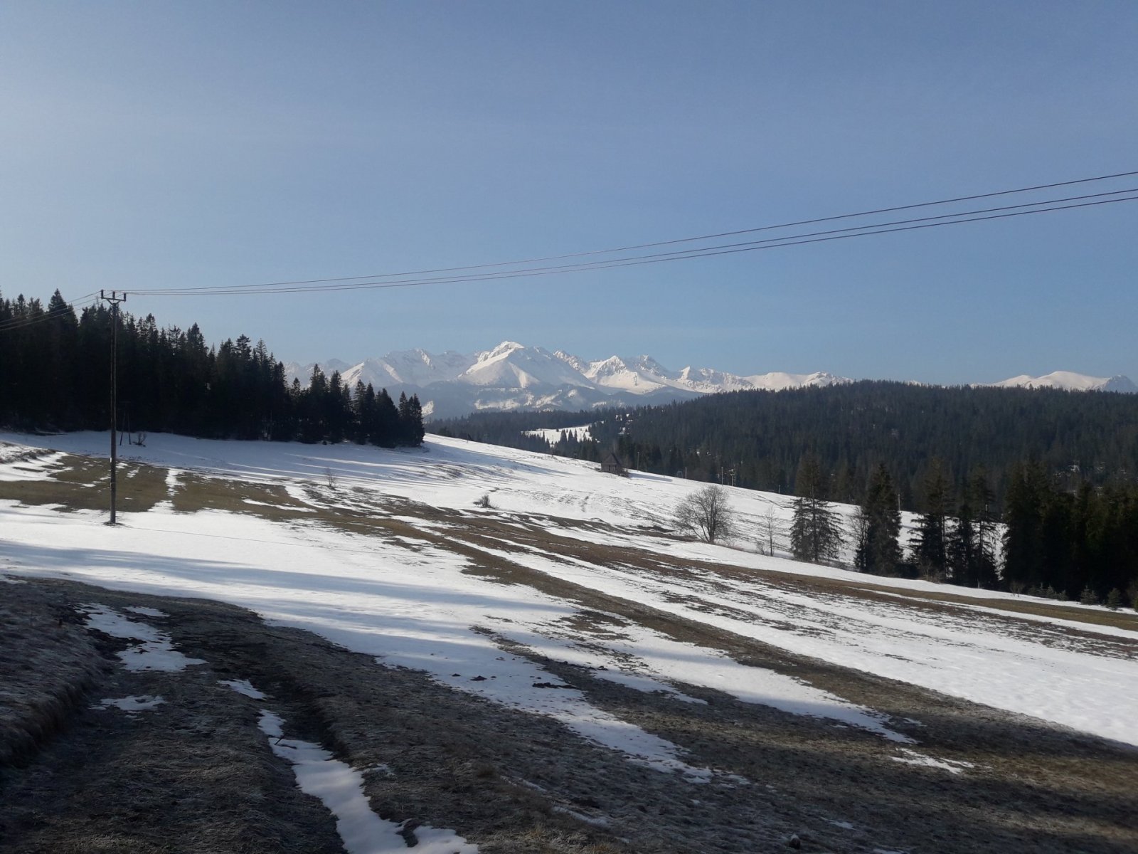20190329_081412.jpg