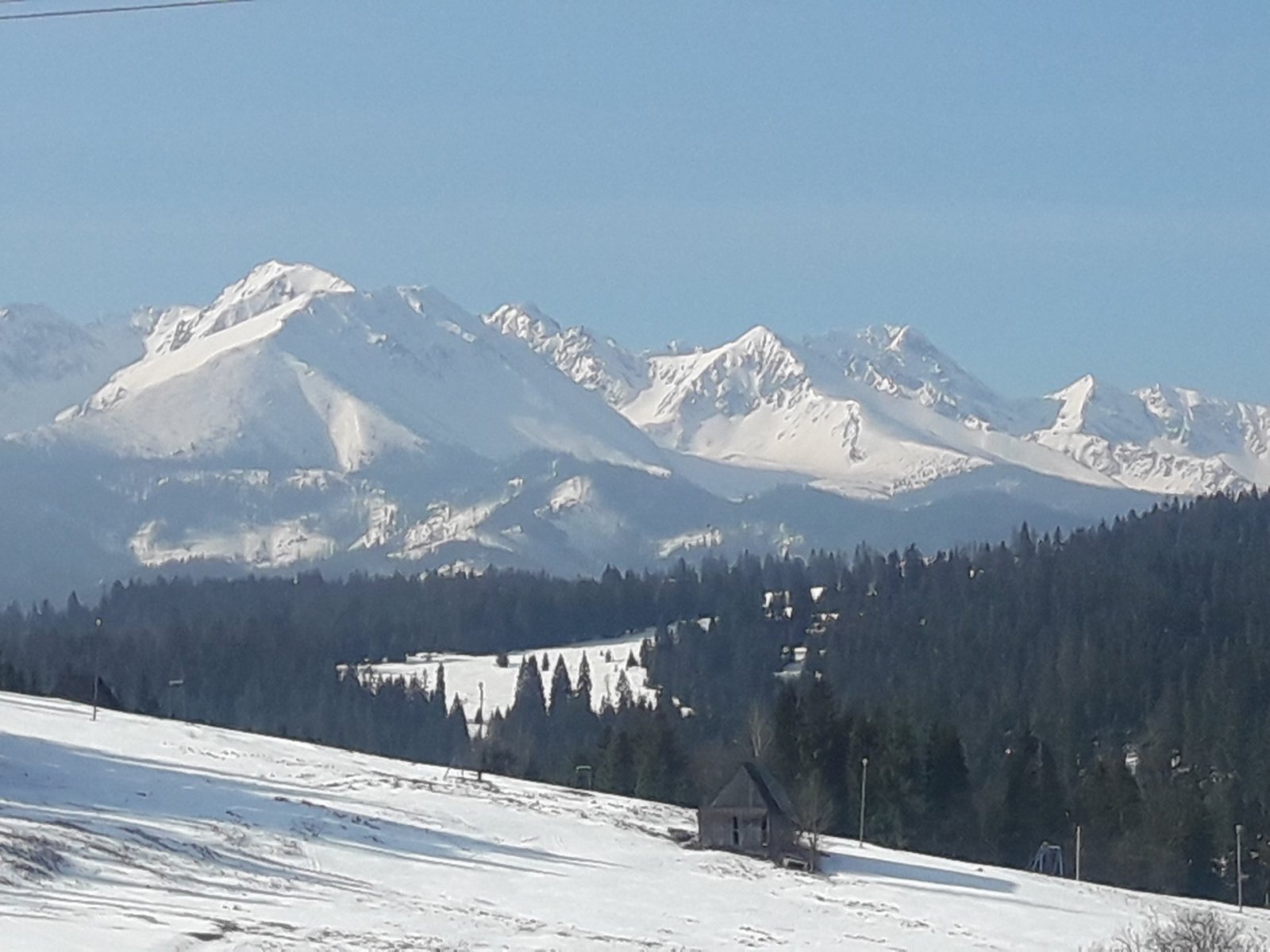 20190329_081429.jpg