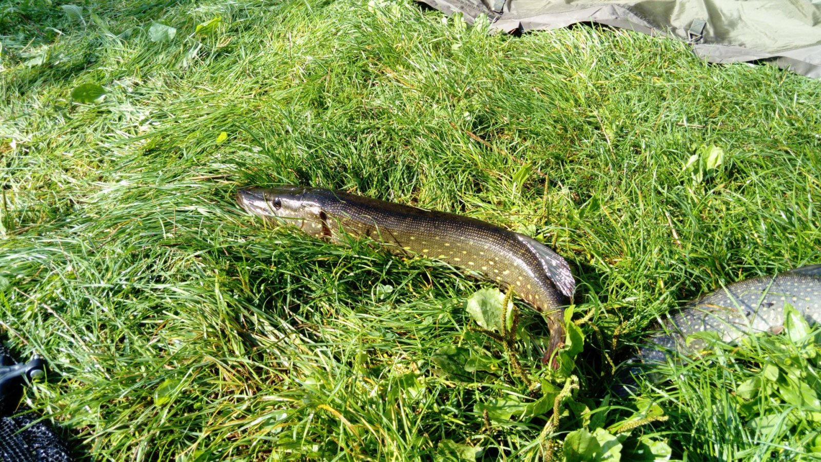 DSC_3809.JPG