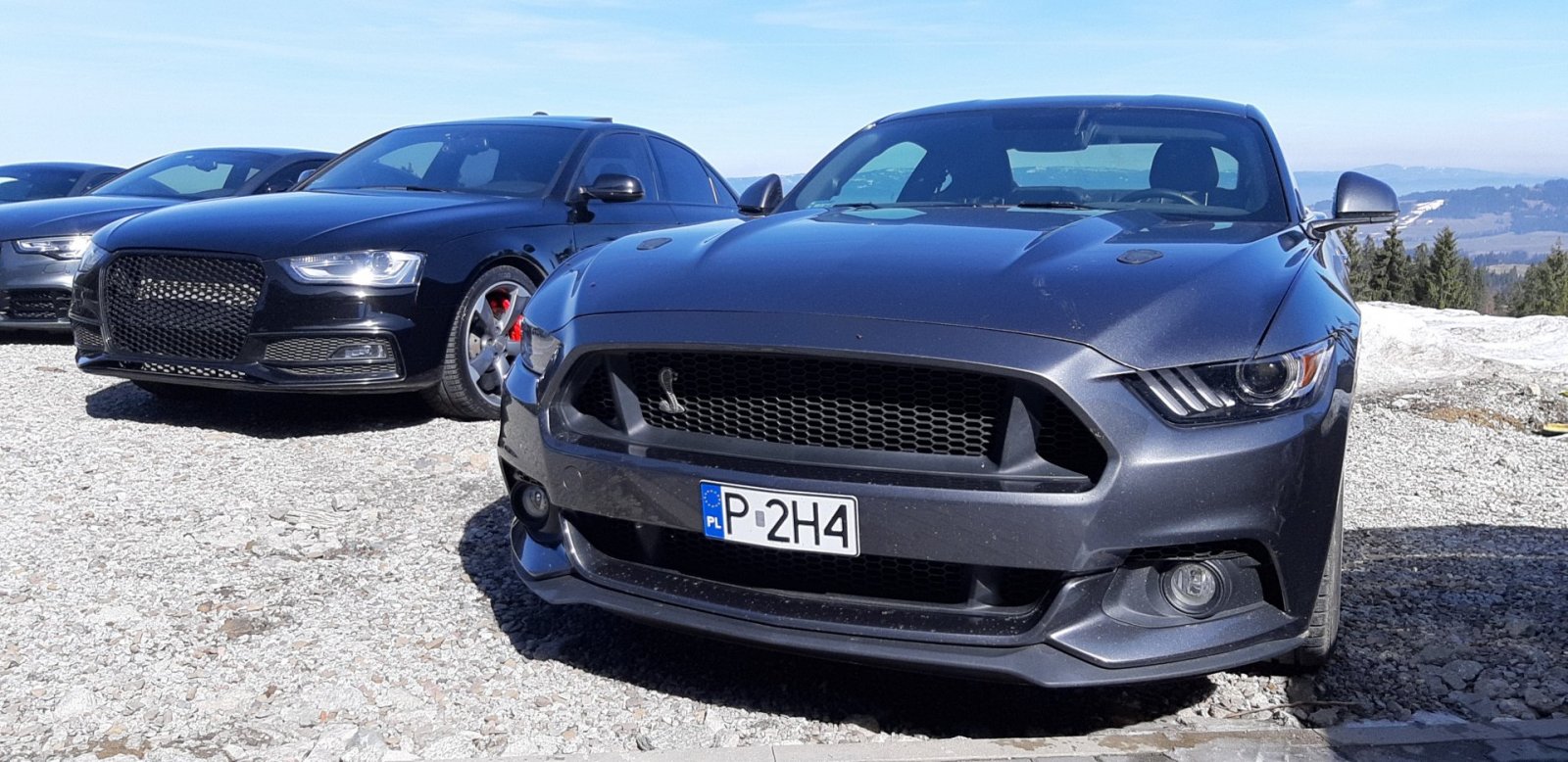 20190330_101542.jpg