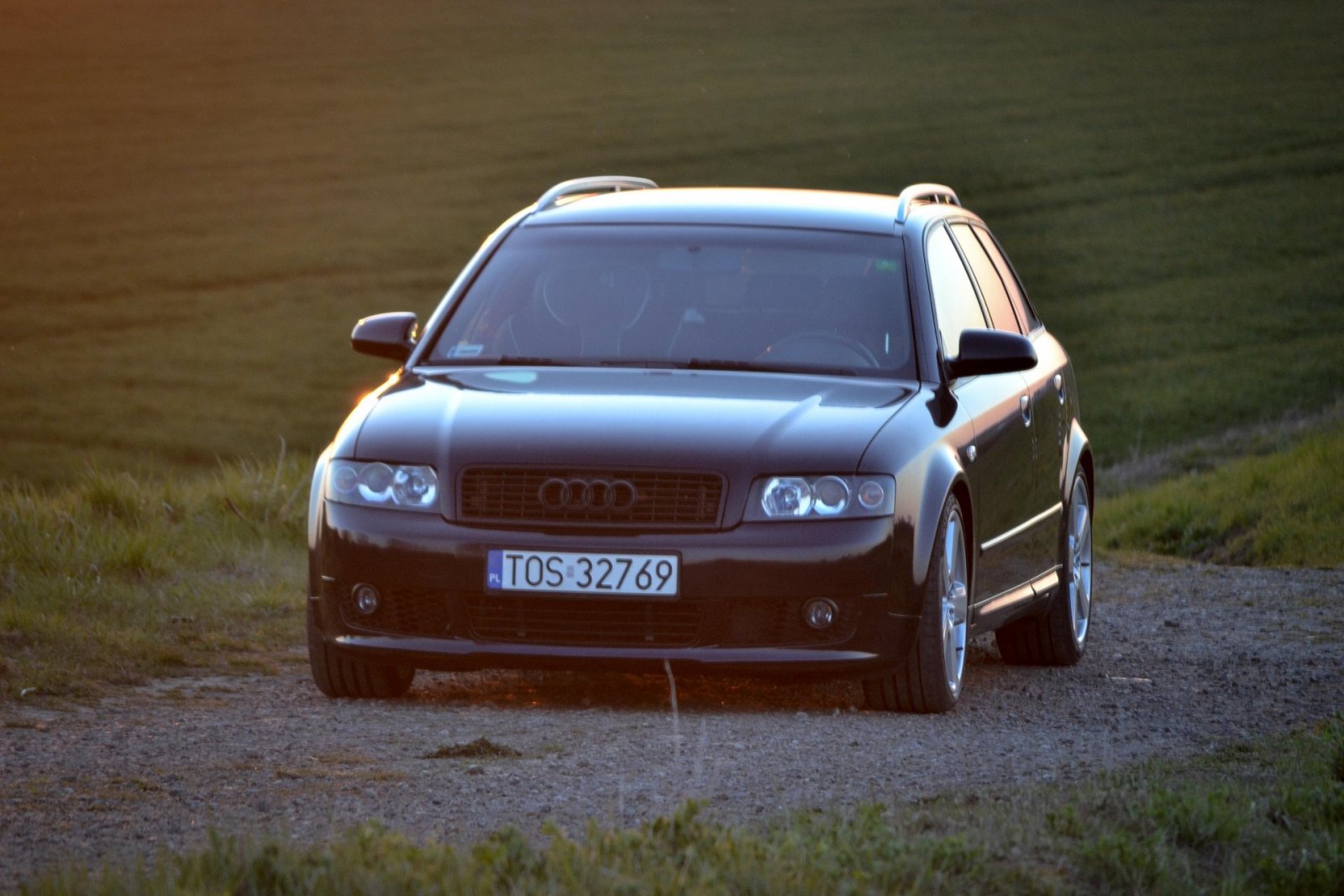 DSC_0801.jpg
