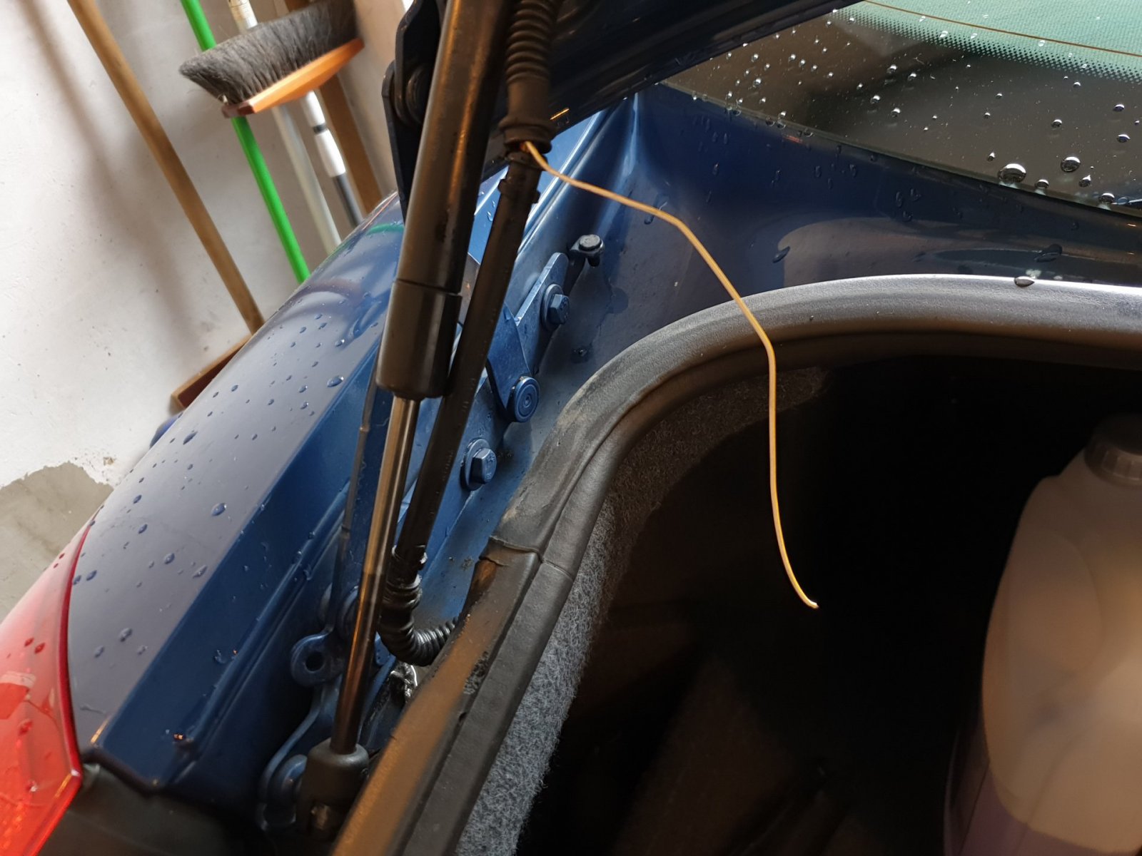 20190505_152012.jpg